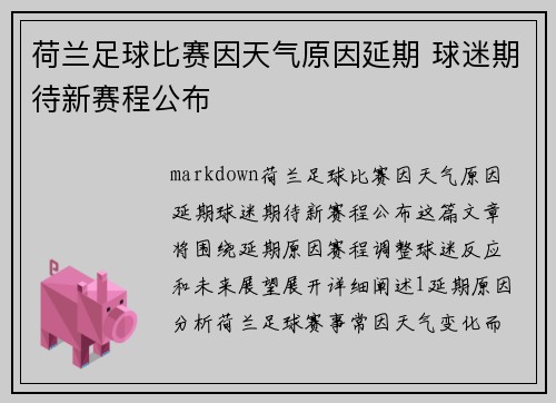 荷兰足球比赛因天气原因延期 球迷期待新赛程公布