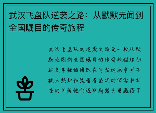 武汉飞盘队逆袭之路：从默默无闻到全国瞩目的传奇旅程